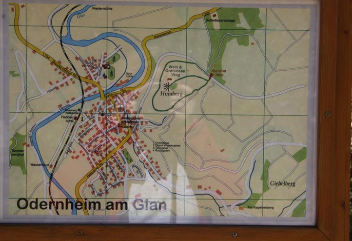 Bild 11