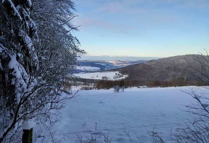 Bild 12