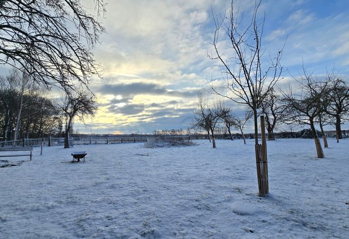 Bild 18