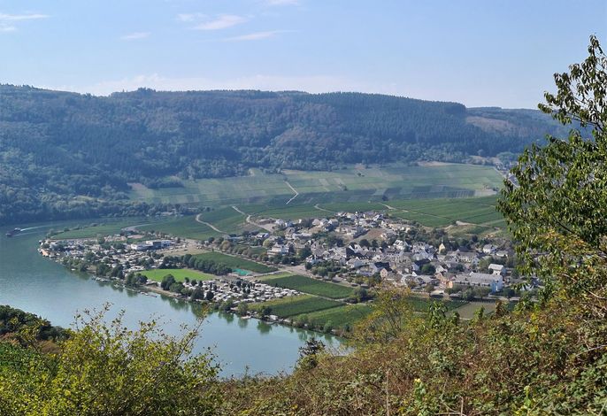 Bild 16