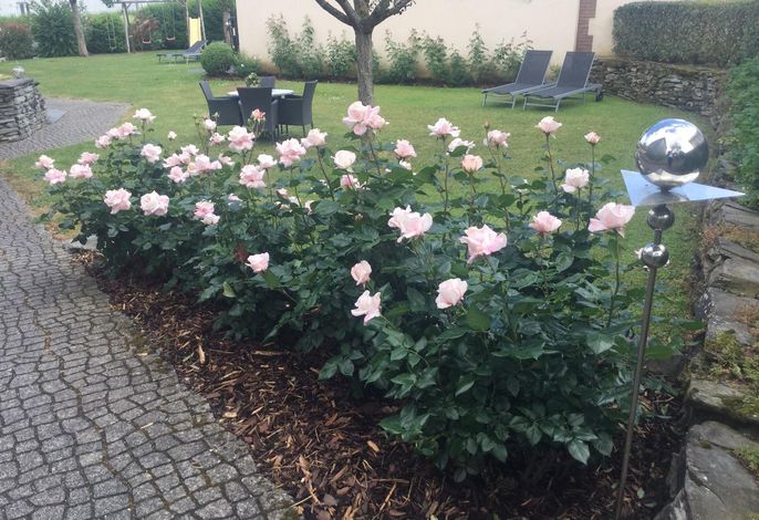 Bild 14