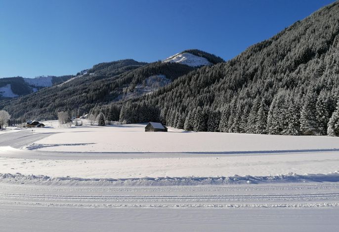 Bild 10