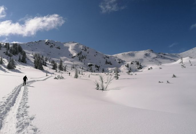 Bild 11