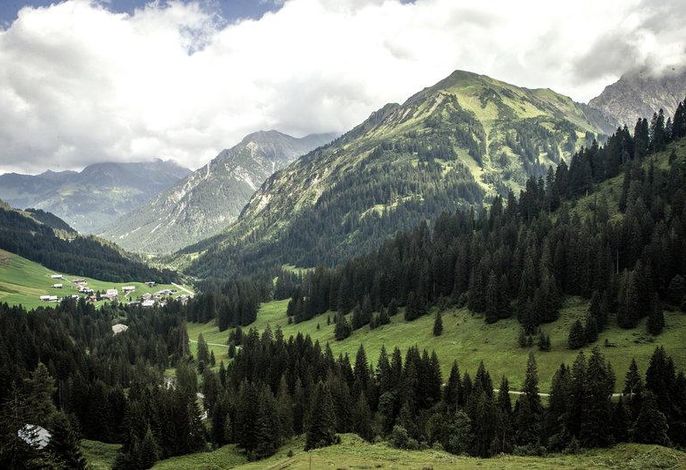 Bild 15