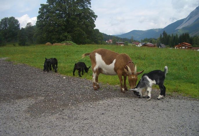 Bild 13