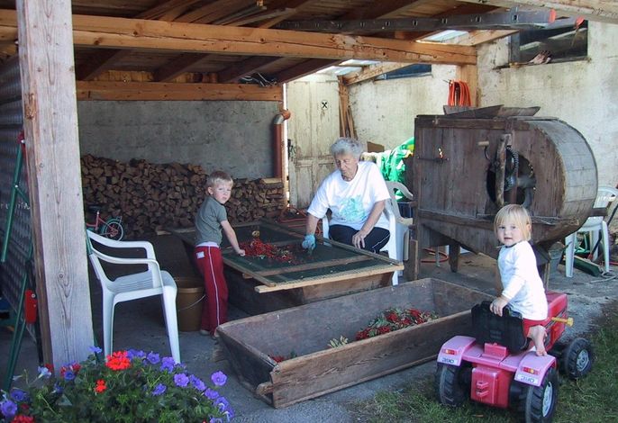 Bild 19