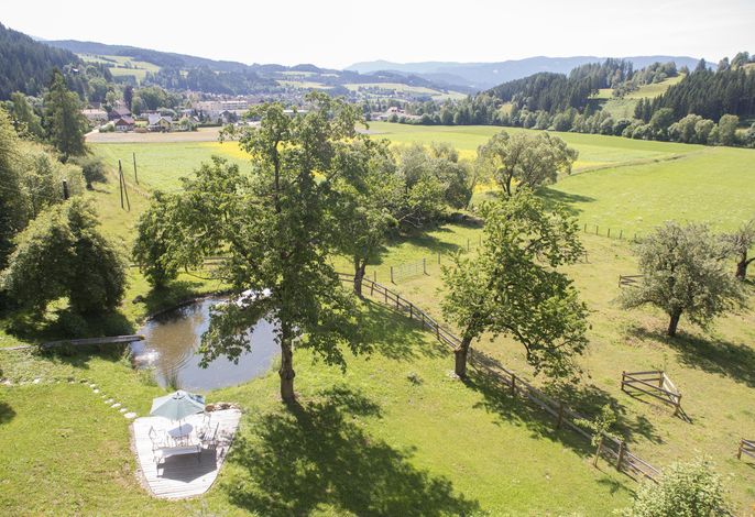 Bild 15