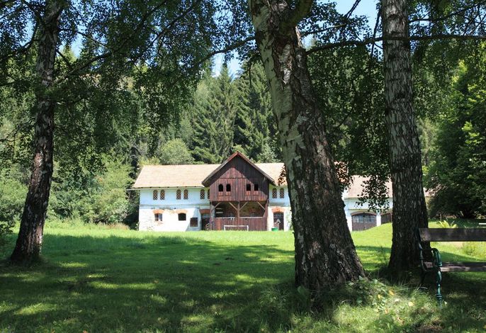 Bild 50