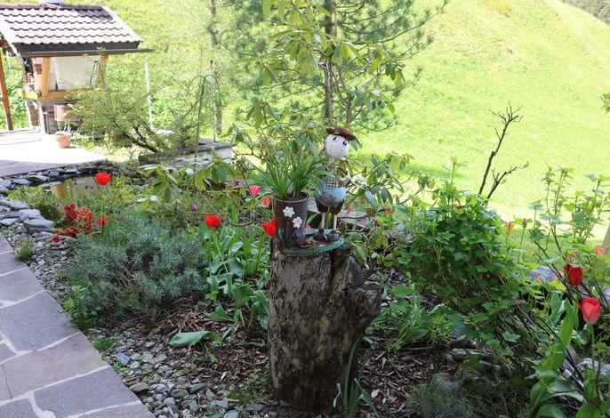 Bild 4