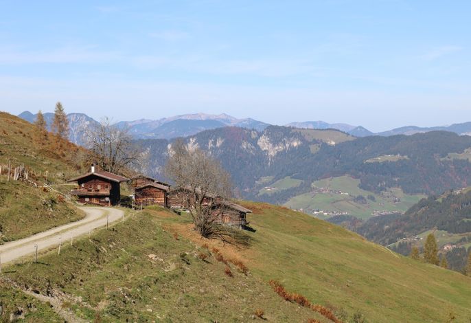 Bild 24