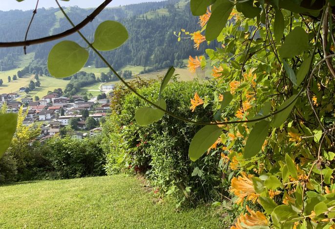 Bild 35
