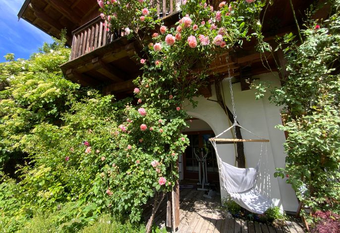 Bild 46