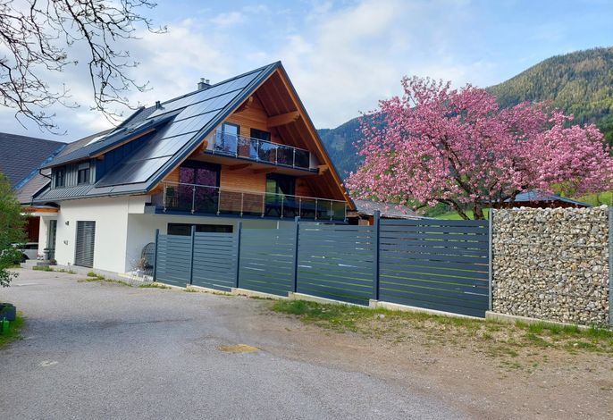 Bild 15