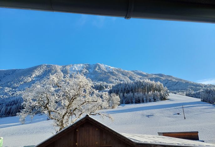 Bild 51