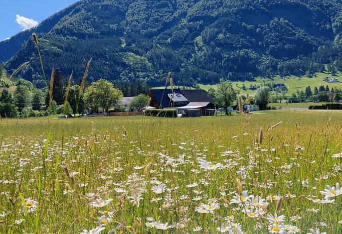 Bild 13