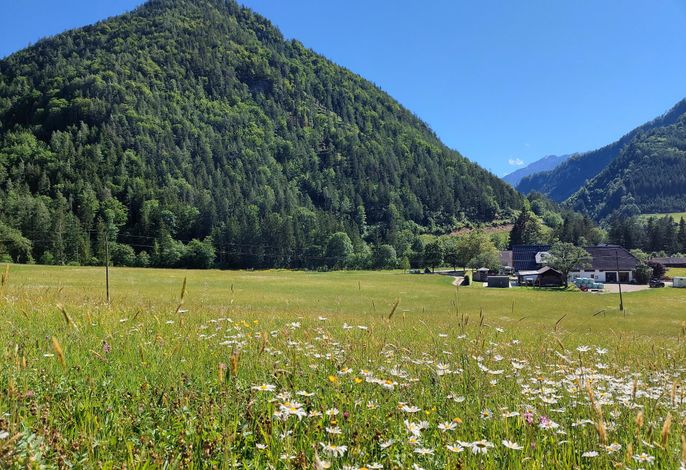 Bild 14