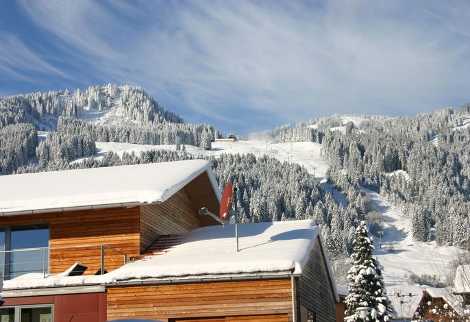 Bild 15