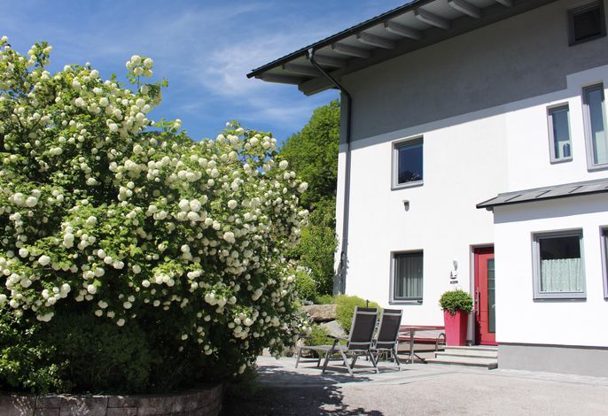 Bild 15