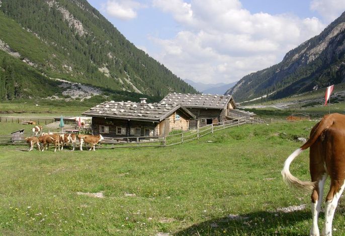 Bild 25