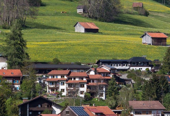 Bild 7