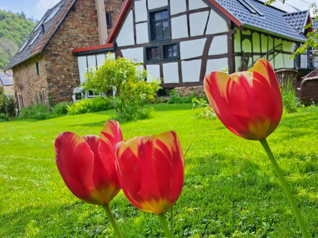 Landhaus am Aremberg