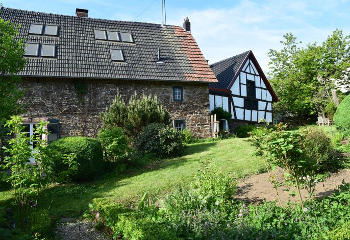 Bild 11