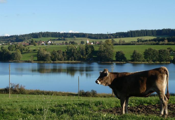 Bild 15