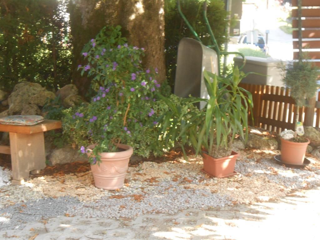 Haus Elfriede Schmid
