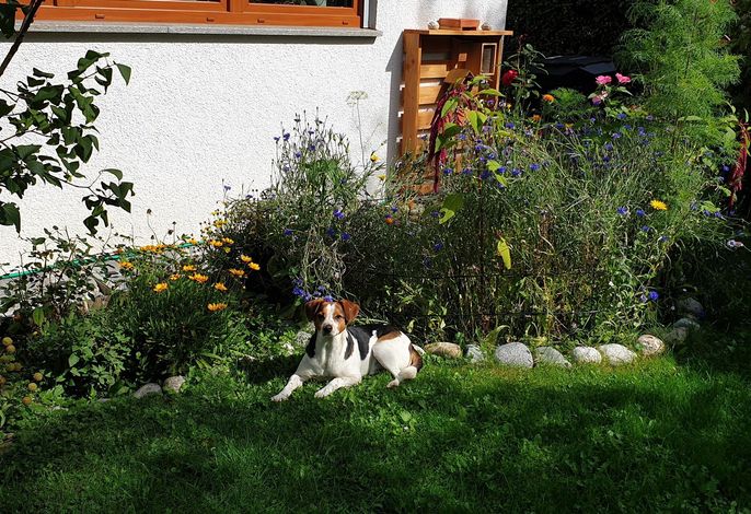 Bild 5