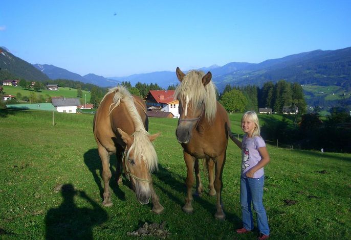 Bild 29