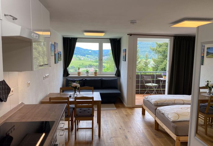 Ferienwohnung Rinkenblick