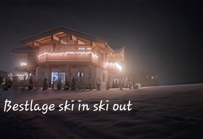 Bild 81