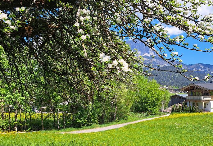 Bild 54