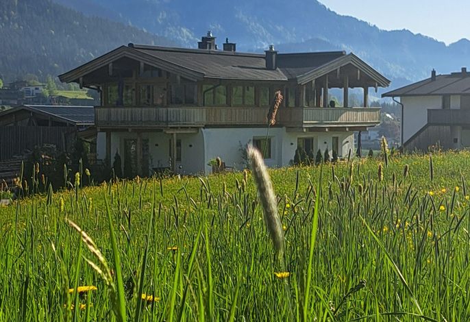 Bild 51
