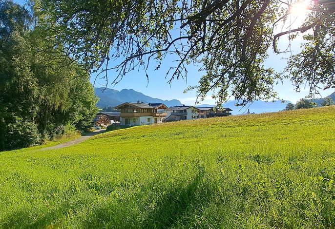Bild 59