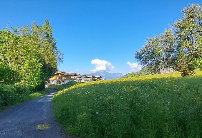 Bild 60