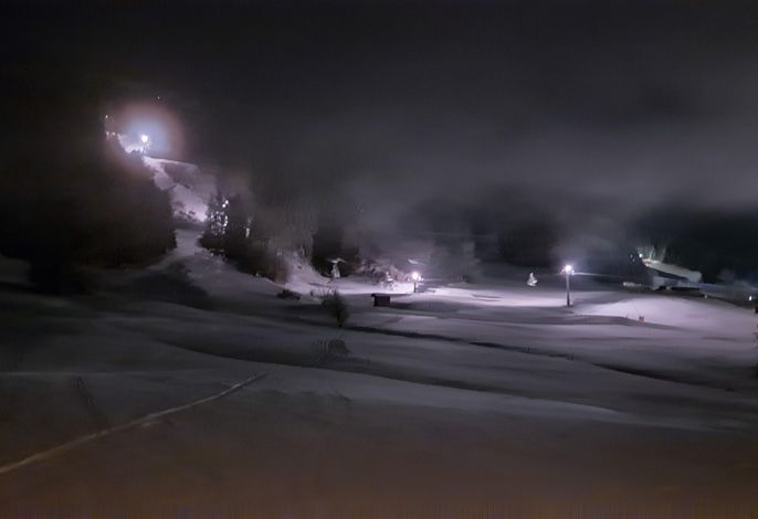 Bild 82