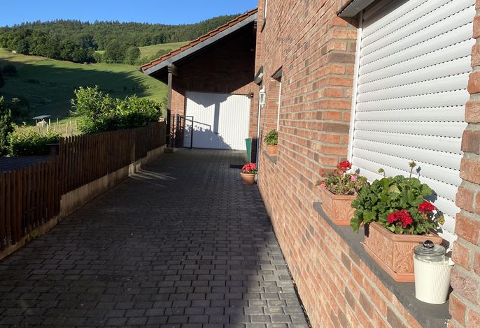 Bild 12