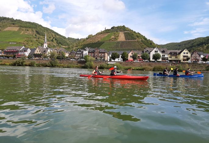 Bild 15