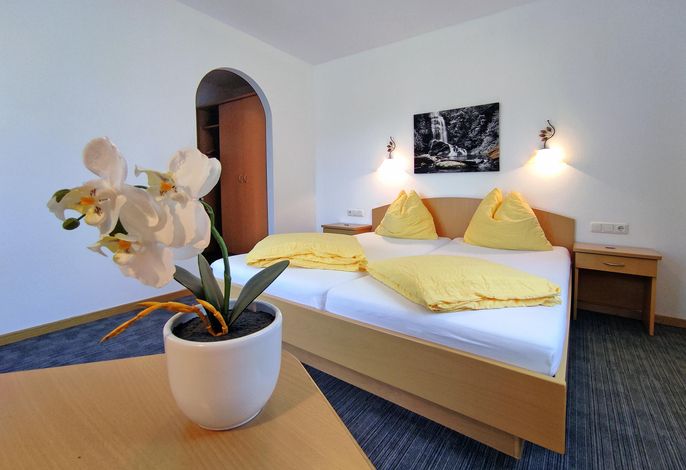 Doppelzimmer Standard (ÜF 1-2 N)