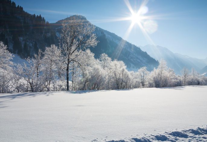 Bild 19