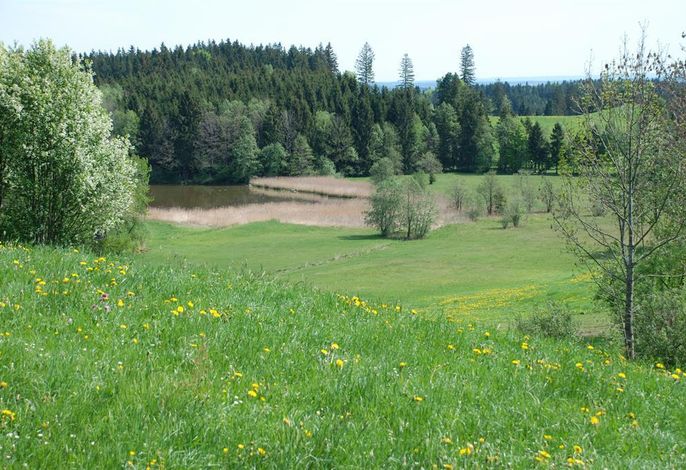 Bild 12