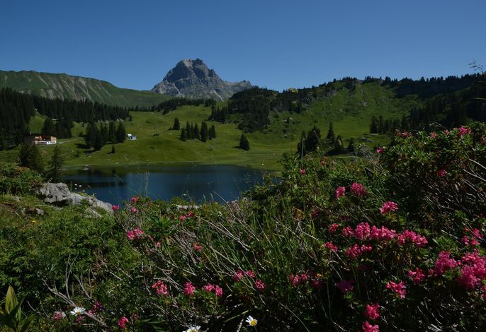 Bild 13