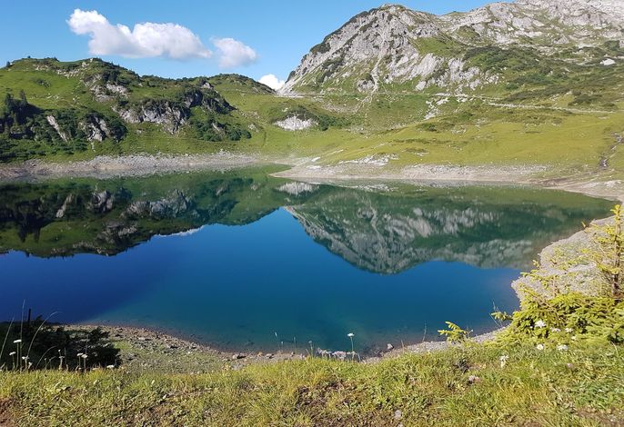 Bild 14