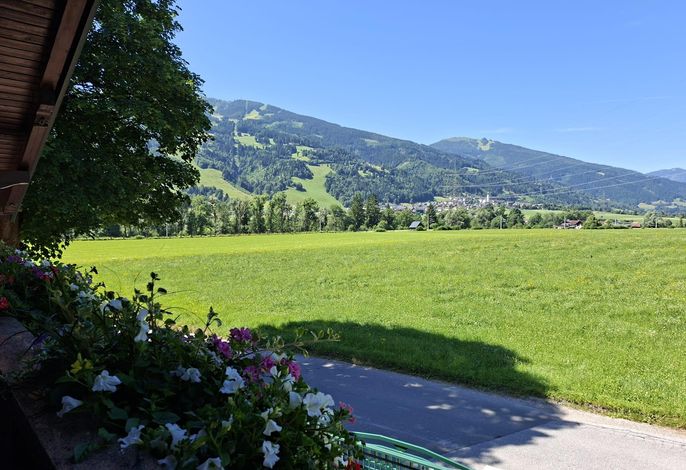 Bild 23