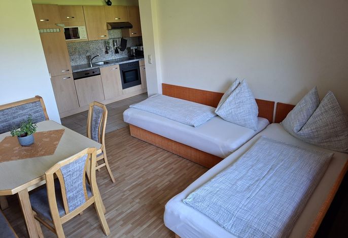 Apartment mit Blick auf die Berge (2 - 4 Pers.)