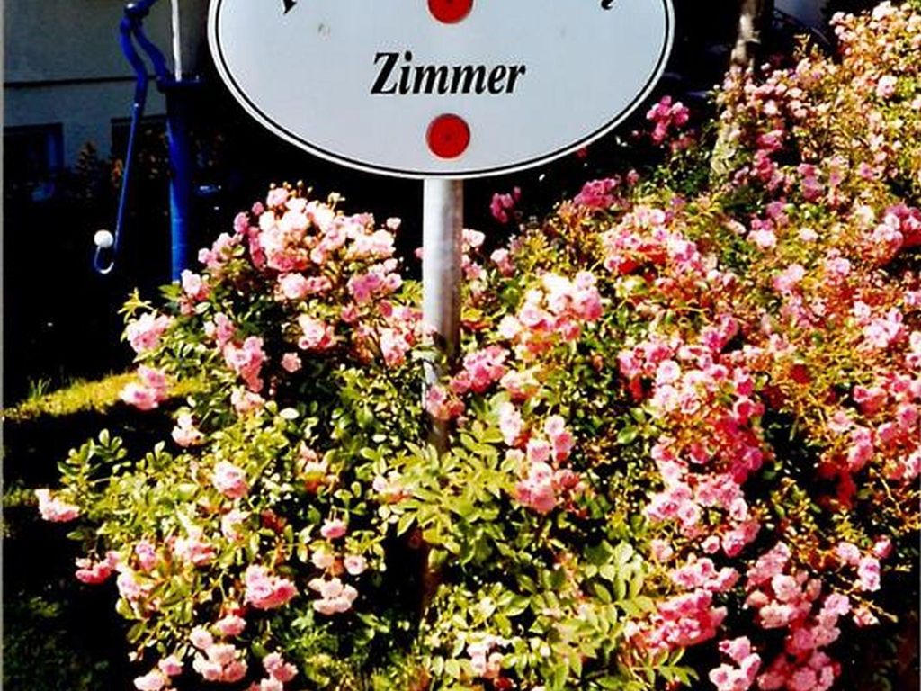 Pension Am Erlengrund