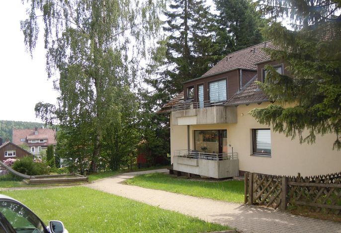 Bild 11