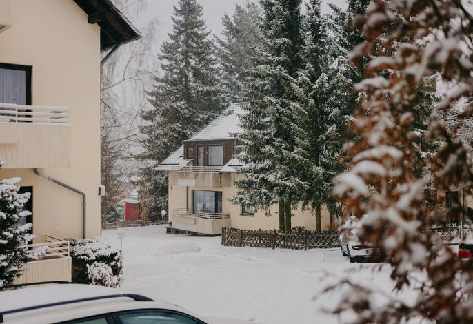 Bild 12