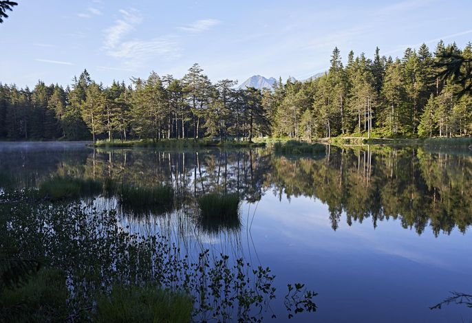 Bild 16